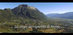 Le circuit des vignobles de Savoie